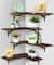 Brown Rustic Floating Corner Storage Shelf Set
